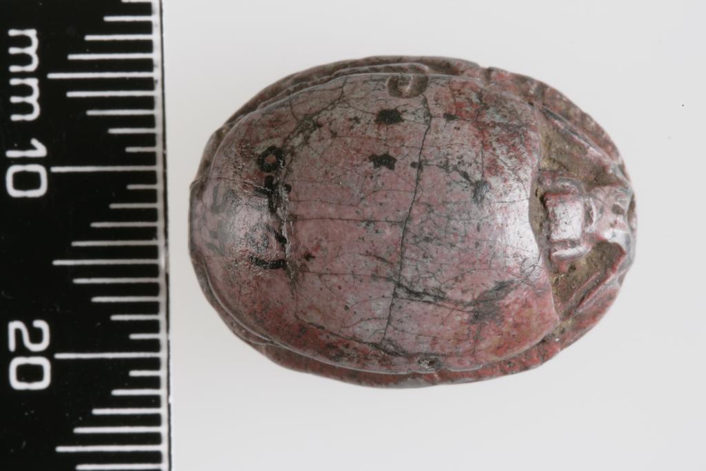 An image of Scarab. Inscribed, with decoration and hieroglyphs, unclear. Production Place/Find Spot: Egypt. Depth 0.012 m, length 0.024 m, width 0.011 m.
