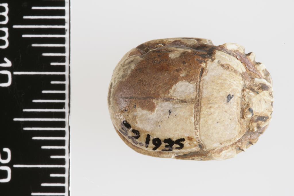 An image of Scarab. Inscribed. Production Place/Find Spot: Egypt. Check Accession