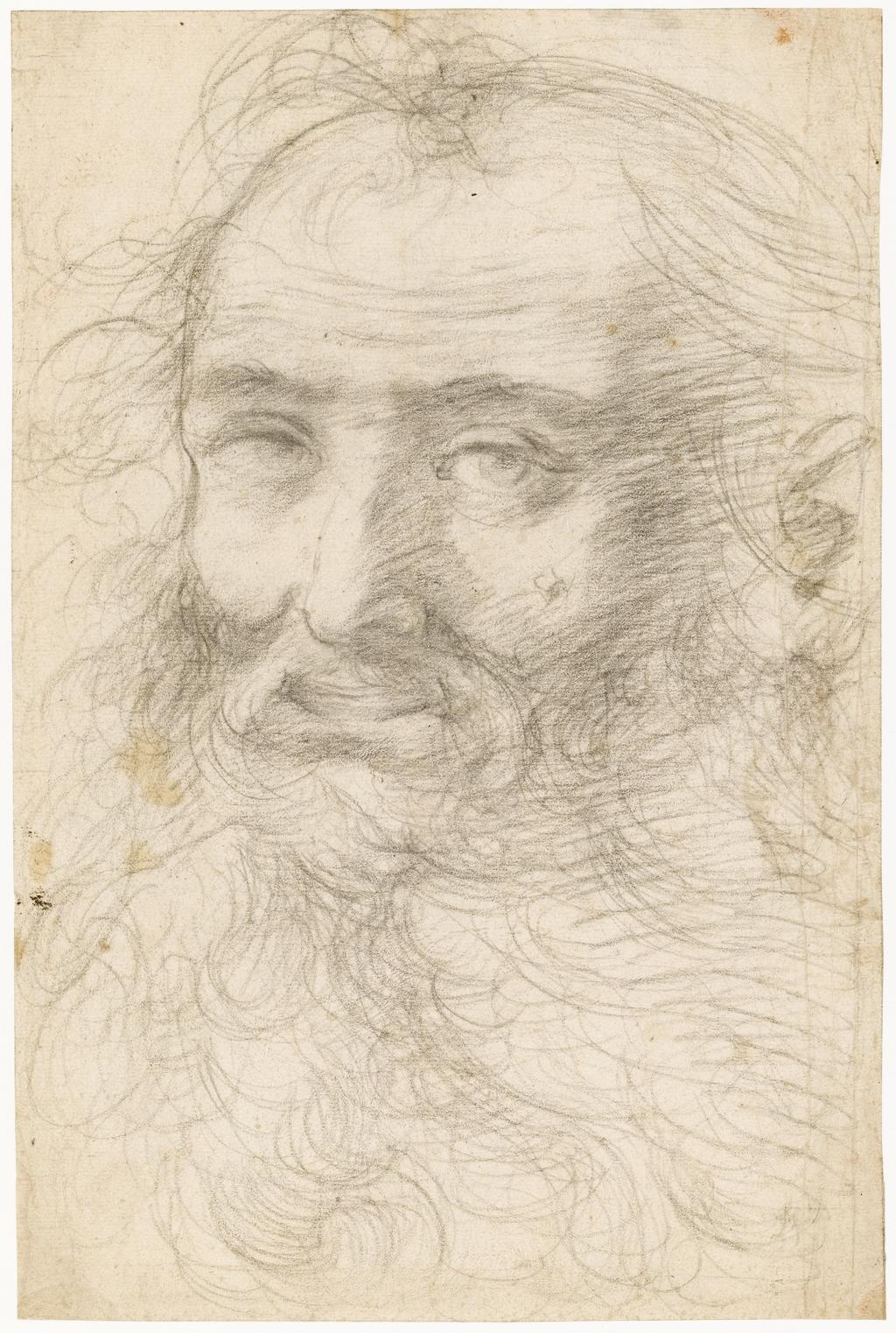 An image of Title/s: Head of a bearded man 
Maker/s: Procaccini, Camillo attributed to (draughtsman) [ULAN info: Italian artist, 1551(?)-1629]
Technique Description: black chalk on paper 
Dimensions: height: 375 mm, width: 247 mm

 

 
