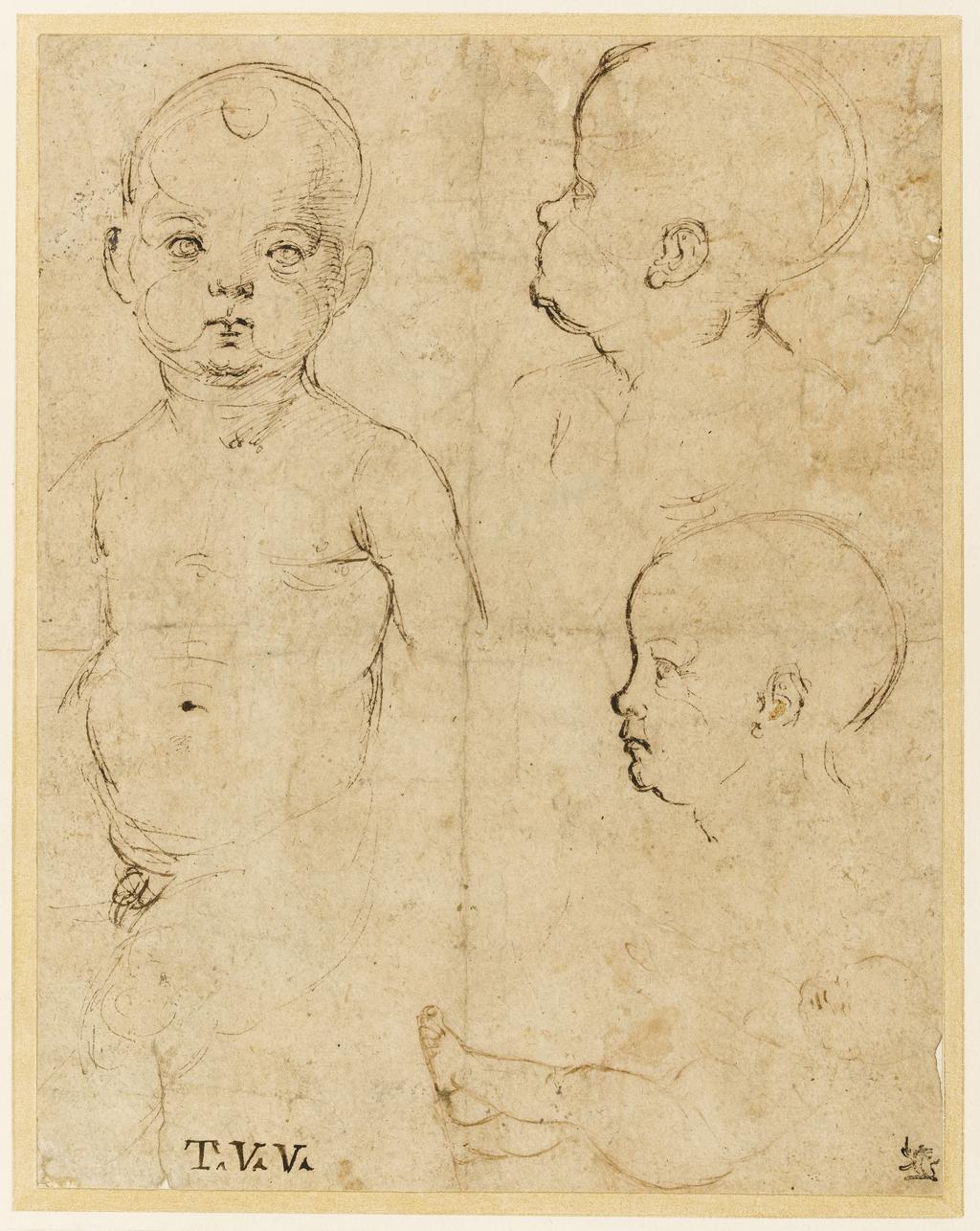 An image of Title/s: Two profile heads, a half-length and full-length studies of children Maker/s: Viti, Timoteo (draughtsman) [ULAN info: Italian artist, 1469-1523]Technique Description: pen and ink, one sketch in bistre, on paper, stuck downDimensions: height: 237 mm, width: 182 mm