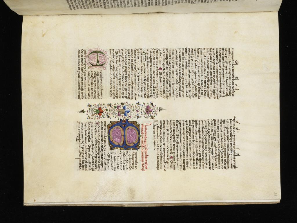An image of 