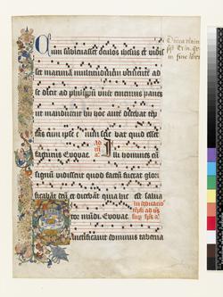 An image of Leaf (manuscript)