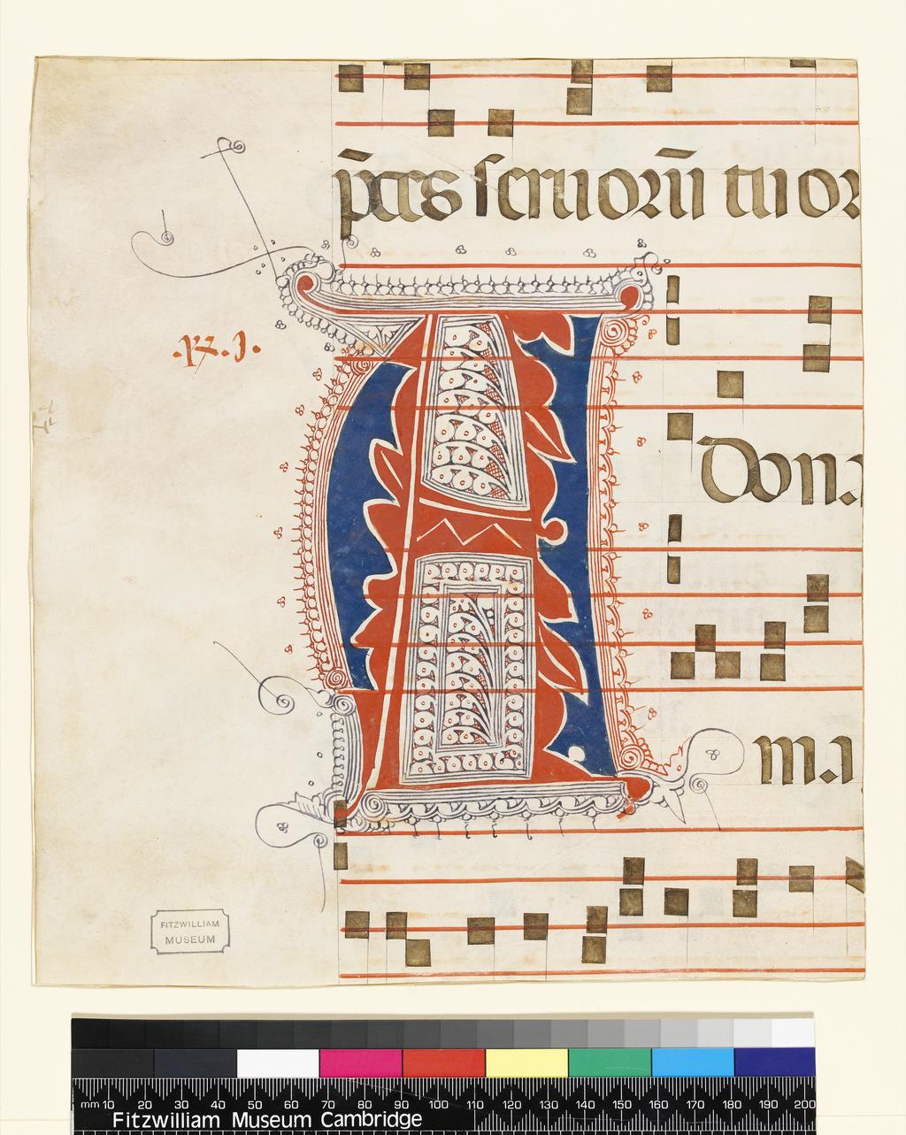 An image of Illuminated manuscript. Cutting. Fragments with ornamental initials from an Antiphoner. Production Place: Italy, Florence. Parchment, gold, penwork, three and a half fragmentary four-line musical staves ruled in red ink and three fragmentary lines of text ruled in black ink on recto and verso. circa 1350. MS McClean 201.12b.2.CONTENTS:  The parted initial opened an antiphon preceded by the rubric Sabb[at]o IIII d[omi]nice quando ponitur ystoria iudith ad m. ana; on reverse, part of the second responsory to the first lesson in Matins on Sundays in mid-September, Omni tempo[re benedic Deum et] pete ab eo ut vias tu[as dirigat].ORNAMENTATION: Five blue and red parted initials with purple and red pen-flourished infill and extensions: MS McClean 201.12b.2 [A, 2 ll.]; MS McClean 201.12b.3 [M, 2 ll.]; MS McClean 201.12b.4 [P. 2 ll.]; MS McClean 201.12b.5 [S, 2 ll.]; MS McClean 201.12b.6 [Q, 2 ll.]. Alternate blue and red one-line penwork initials with red or purple pen flourishing on remaining fragments and on the reverse of MSS McClean 201.12b.2, McClean 201.12b.3 and McClean 201.12b.4.