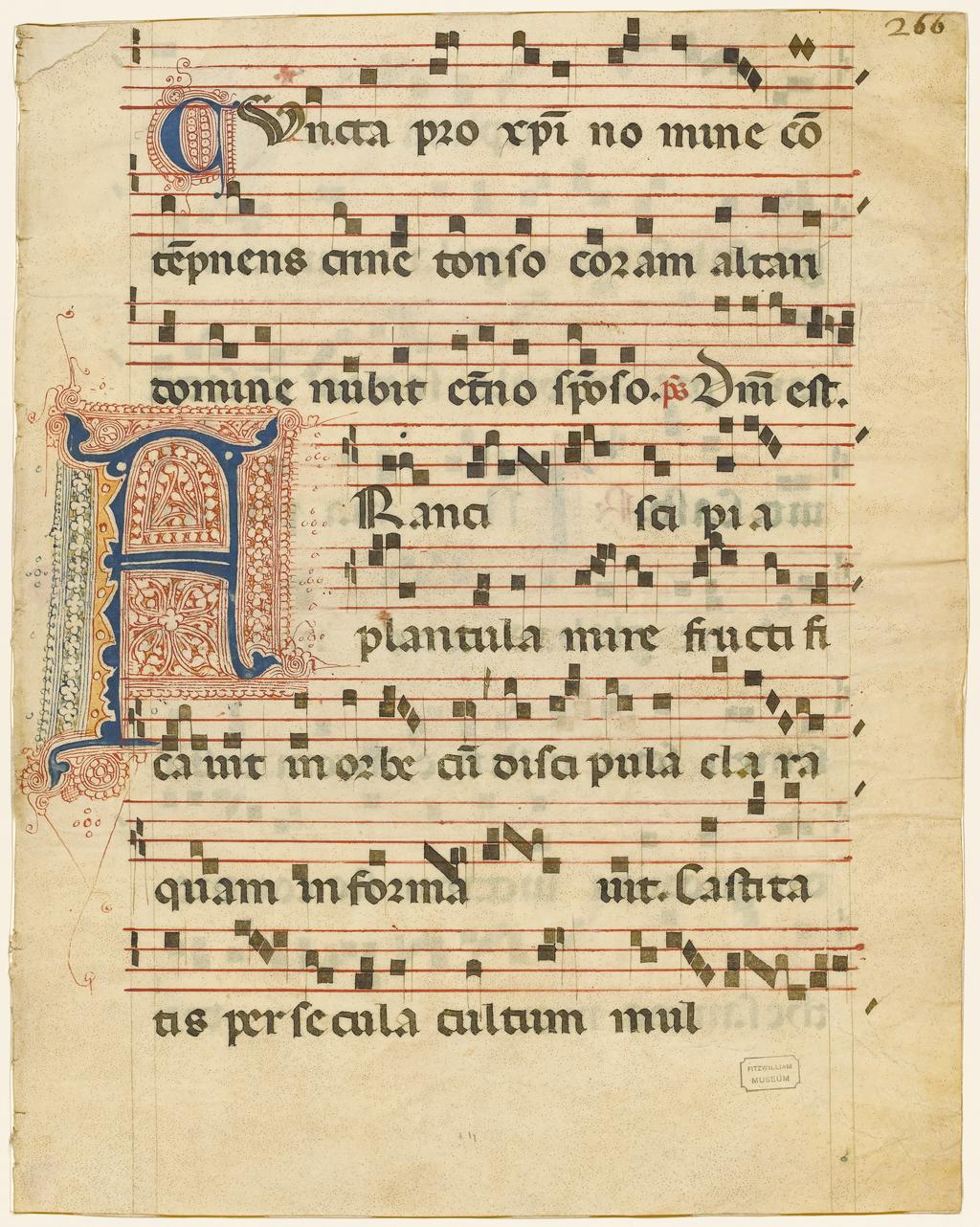 An image of Illuminated manuscript. Cutting. Fragment from an Antiphoner. Production Place: Italy. Parchment, gold, 437 x 343 mm, eight four-line musical staves ruled in red ink, eight lines of text ruled in plummet, circa 1350.CONTENTS: Third antiphon of the first nocturn in Matins for the feast of St Clare, Cuncta pro Christi nomine contemnens crine tonso coram altari Domine nubit eterno sponso, followed by the responsory for the first lesson in Matins, Francisci pia plantula mire fructificavit in orbe cum discipula Clara quam informavit. Castitatis per secula cultum… mul- (continuing on verso) -tiplicavit, versicle Virgo sub sacra regula multarum iam preambula se deo consecravit, and responsory In via penitentie glebas…thesaurus meritorum; the initial F would have introduced the responsory for the first lesson in Matins for the feast of St Clare (12 August) in a Franciscan Antiphoner for the Sanctoral. ORNAMENTATION: Blue and red parted initial [F, height of three staves] with voided ornament, yellow wash and red and blue pen-flourished infill and extensions; alternate blue and red one-line penwork initials with red or blue pen flourishing.